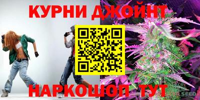 твердый Кингисепп