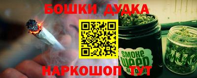 индика Кинель