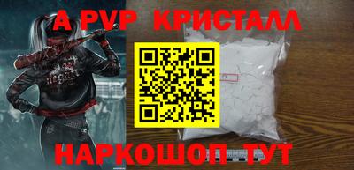 твердый Кингисепп