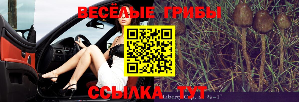 Псилоцибиновые грибы ЛСД Кандалакша