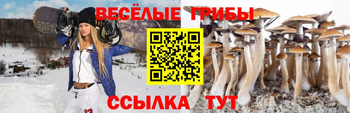 Кандалакша  магазин  наркотиков  Вход с VPN  Псилоцибиновые грибы Magic Shrooms 